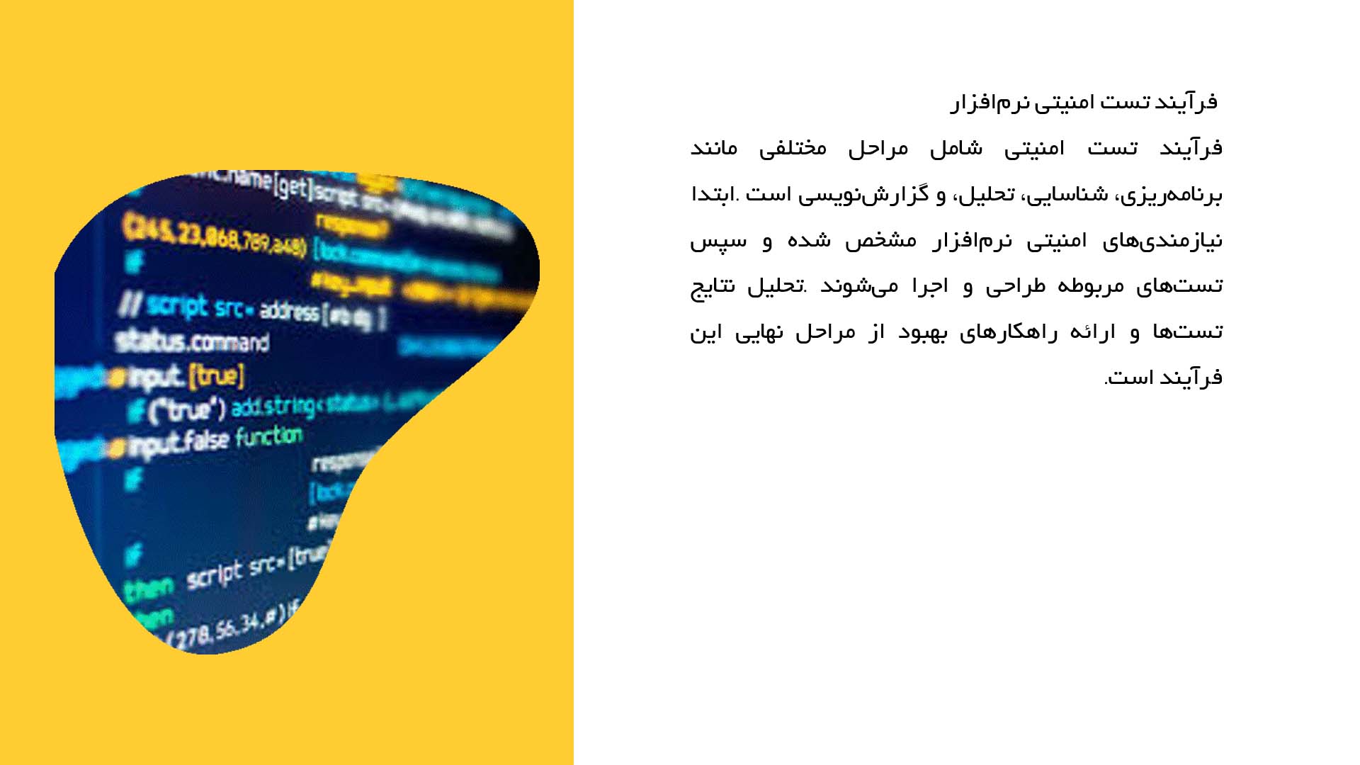 پاورپوینت در مورد اهمیت تست امنیتی در نرم‌افزار